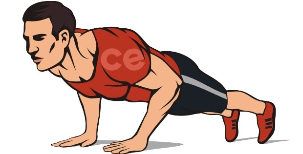 Упражнение отжимания хватом на ширине плеч