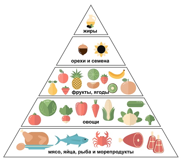 Пирамида питания на палео диете