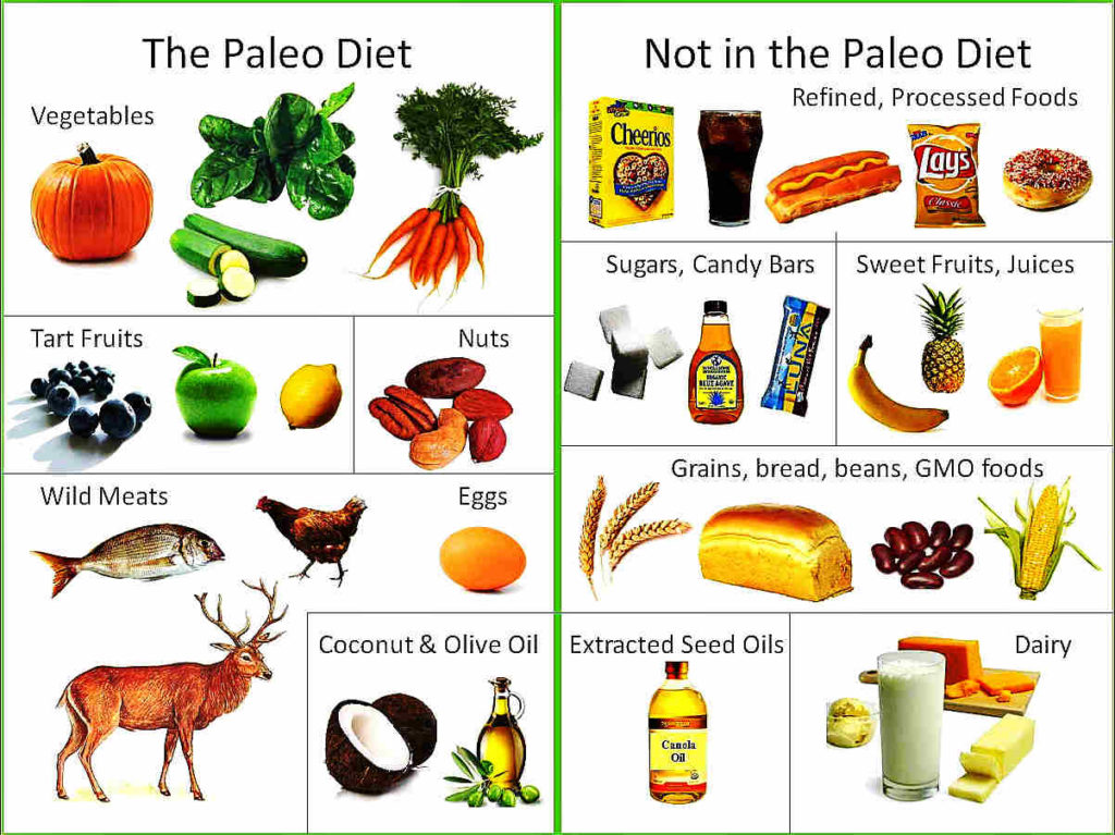 Продукты палео диеты
