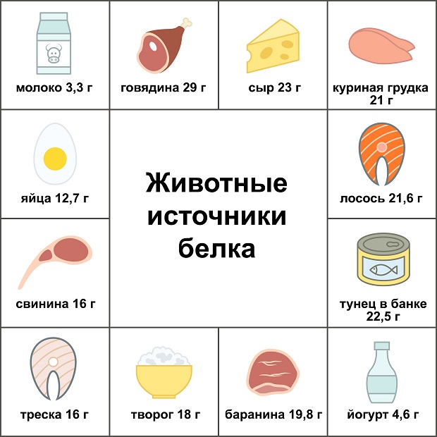 Таблица содержания белка в продуктах питания