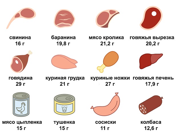 Животные и растительные белки особенности сходства и различия