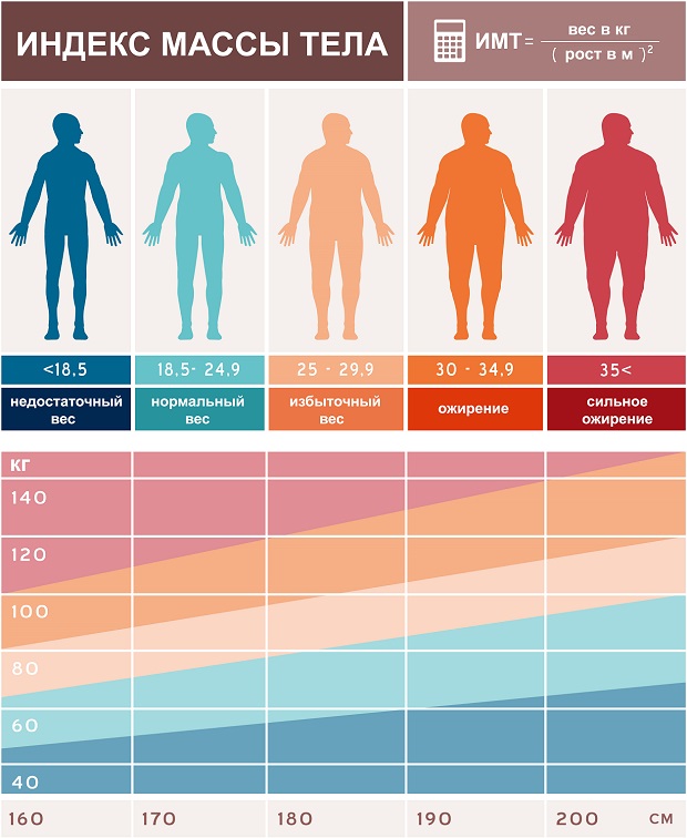 индекс массы тела