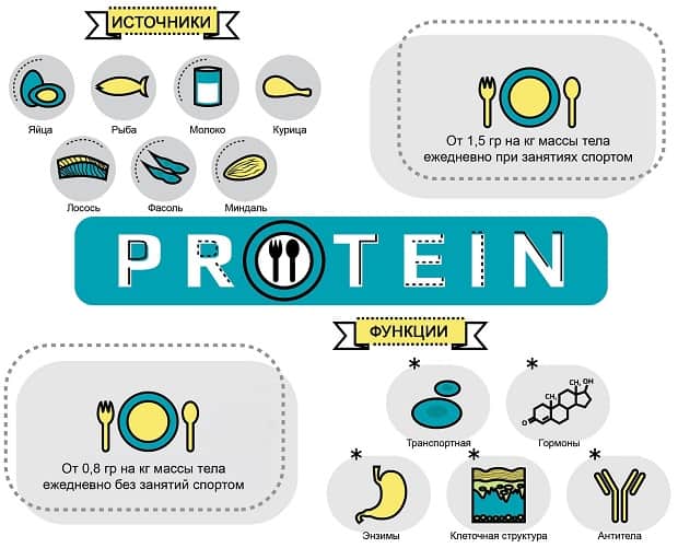 Инфографика по протеину