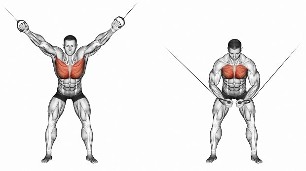 Как накачать верхнюю часть грудных мышц