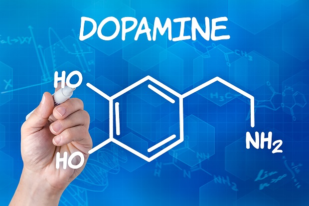 что такое дофамин и его функции в организме человека