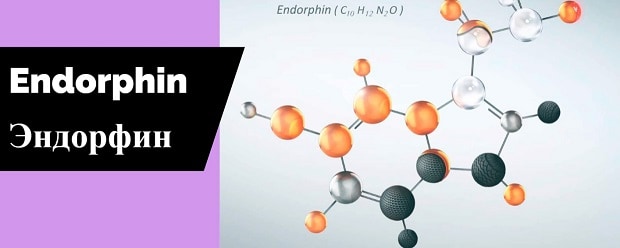 Про эндорфины. Эндорфин. Гормоны счастья. Эндорфины гормоны счастья. Эндорфин это гормон.