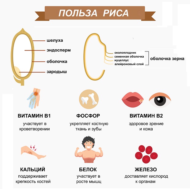 Пропаренный рис: польза и вред для здоровья - Агро-Альянс | Мир Круп