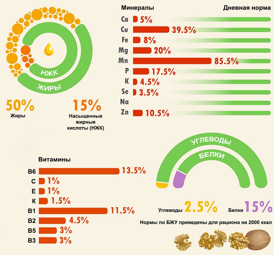 грецкий орех инфографика