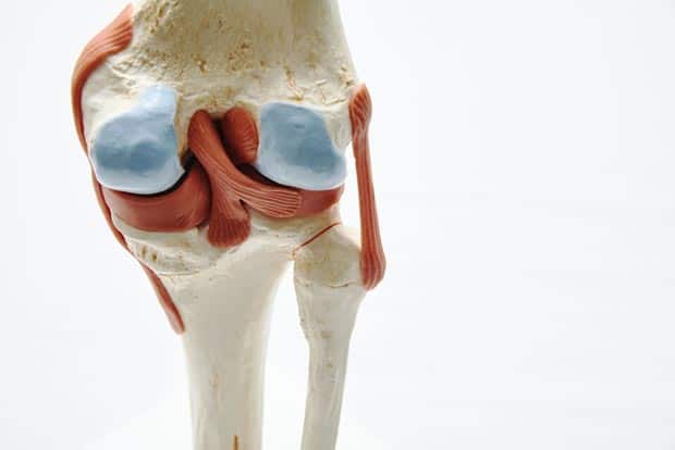 Модель колена