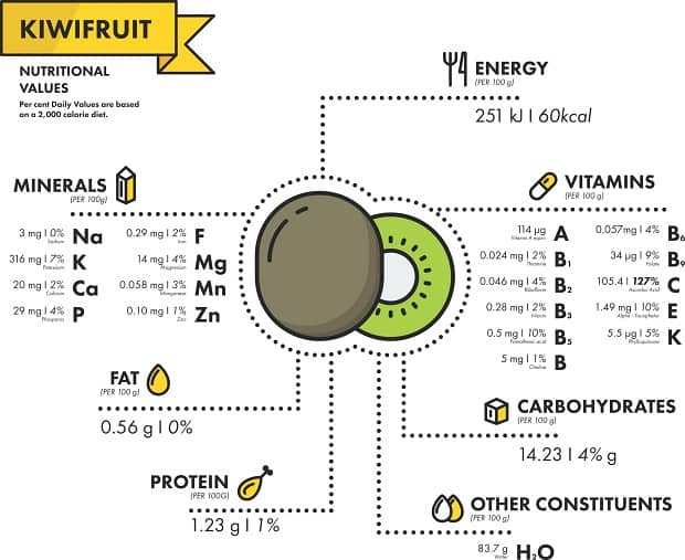 схема витаминов и минералов в киви