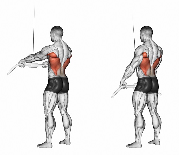 Упражнения в кроссовере на спину, плечи, грудные и другие мышцы для мужчин и девушек